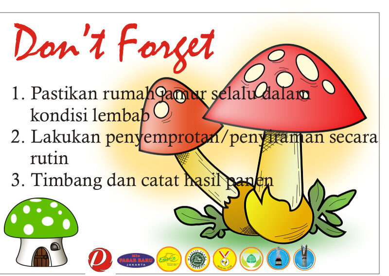 WhatsApp Image 2020-01-11 at 20.17.15 (13)